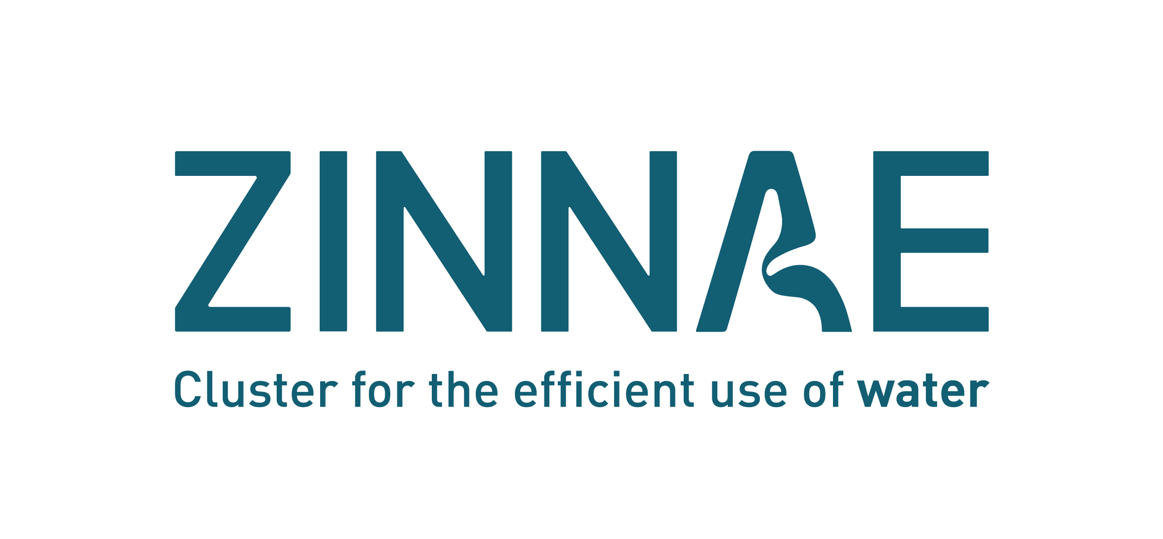 Zinnae